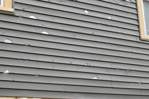 Best Fascia and Soffit Installation  in Millersburg, OH